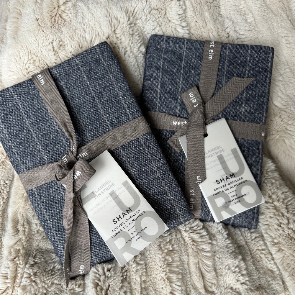 NWT West Elm Flannel Pinstripe Euro Sham (2)